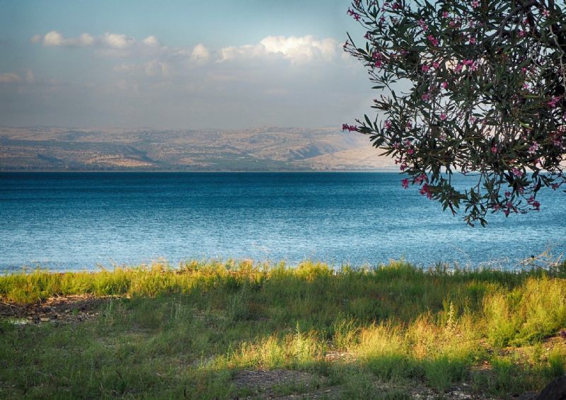 Galilee & Jerusalem Virtual Event