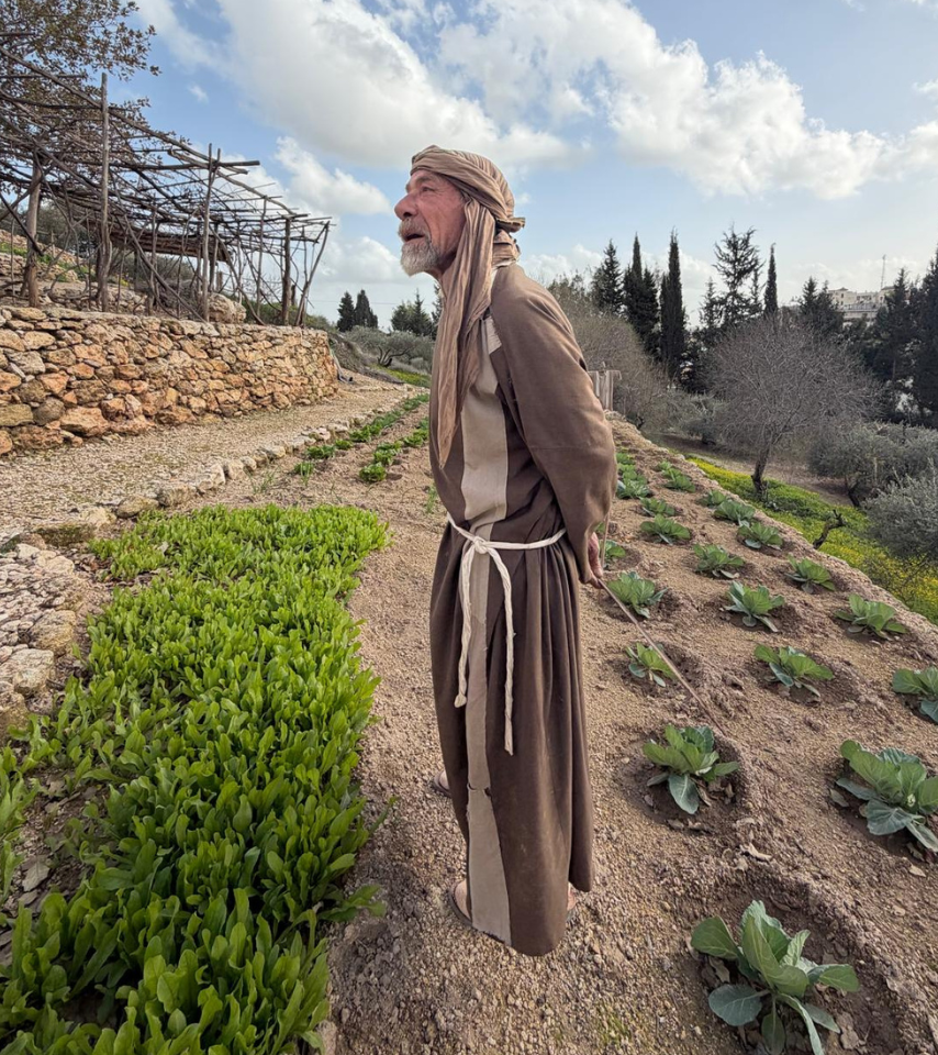 Israel Tour  – Led by Sharon Thompson
